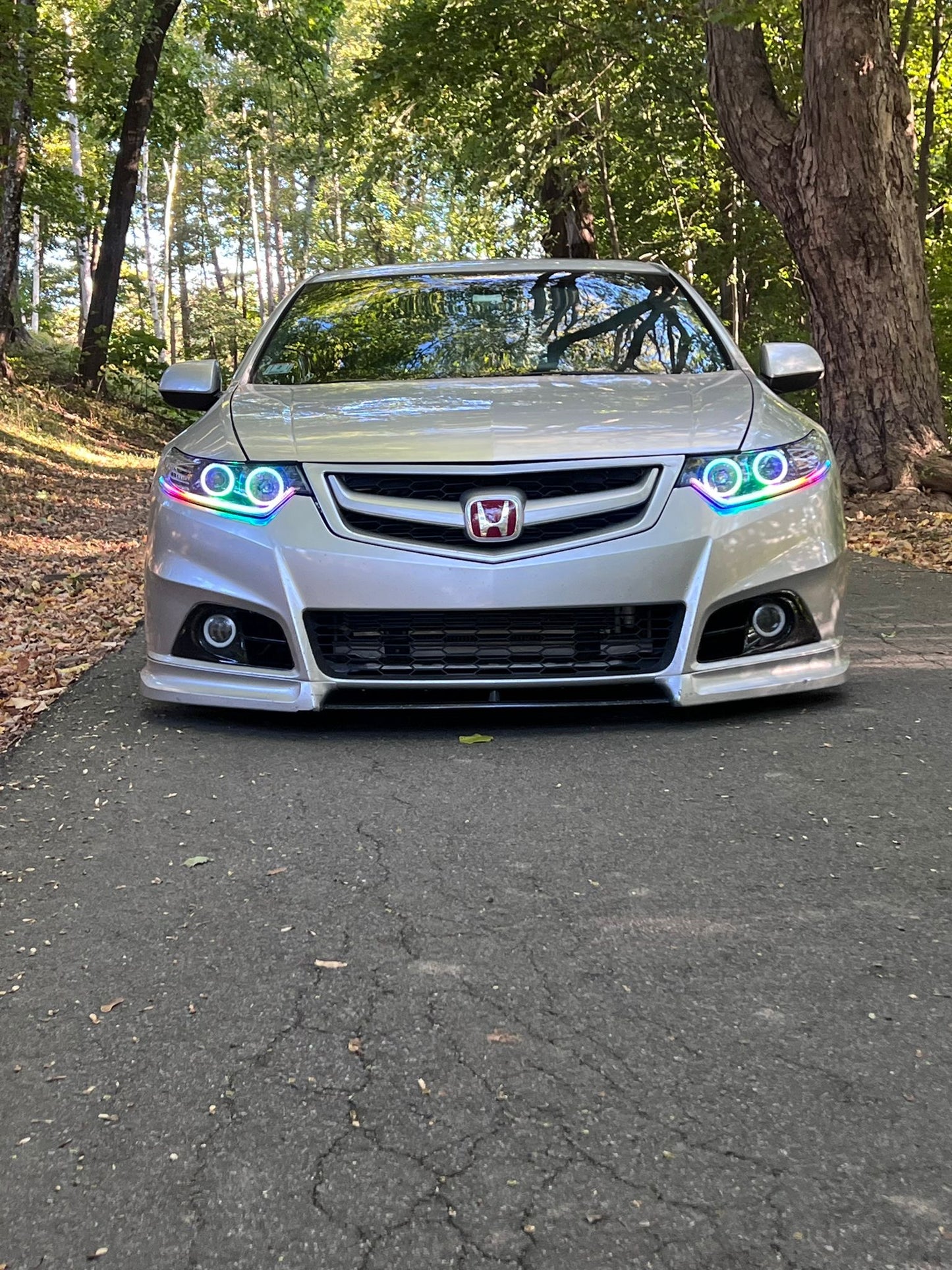 Complete set of custom headlights for Acura TSX 2009-2014.